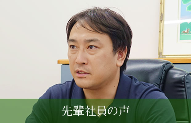 先輩社員の声